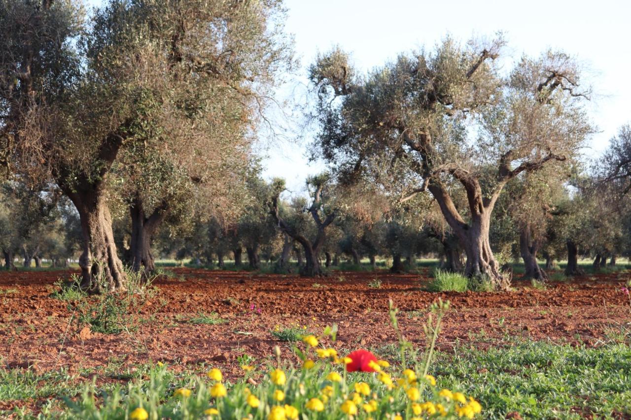 B&B Passione Del Sud Lecce Bagian luar foto